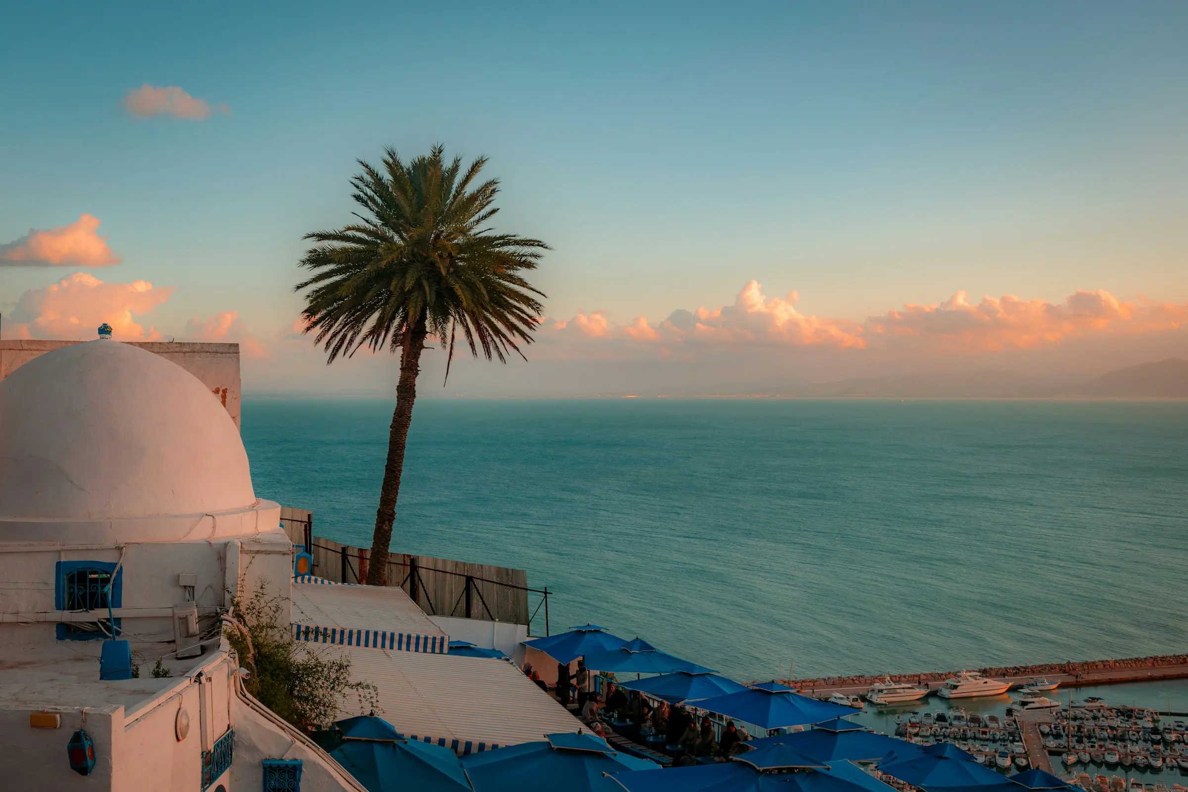 Sidi Bou Said at sunset: a white dome and a palm tree above the Gulf of Tunis